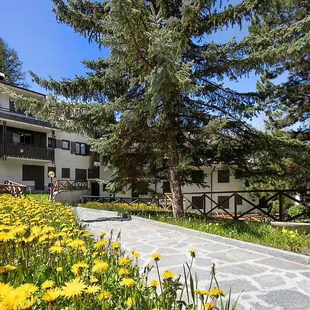 Pian Dei Larici For 4 - Happy Apartment *